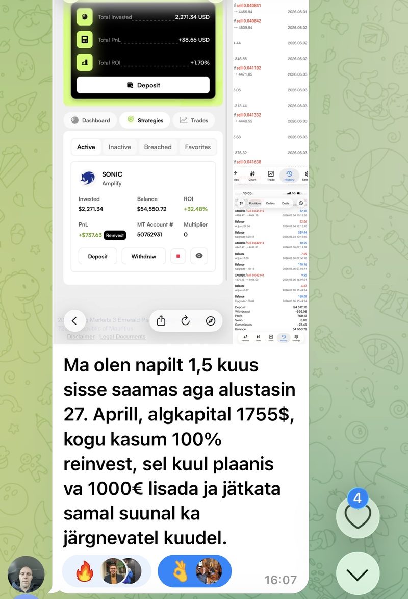 Sonic kliendi tulemus 17